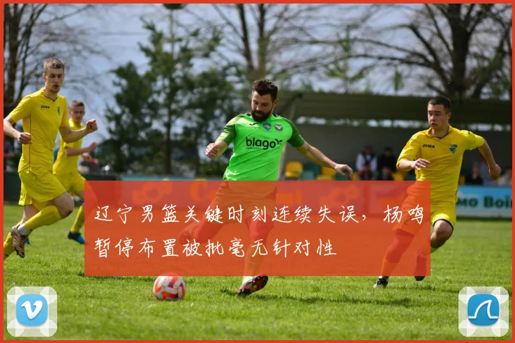 辽宁男篮关键时刻连续失误,杨鸣暂停布置被批毫无针对性